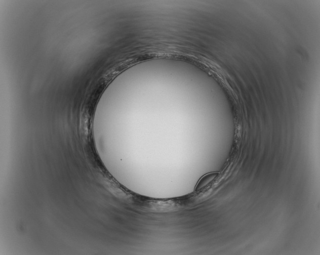 X0000113340525200909151008