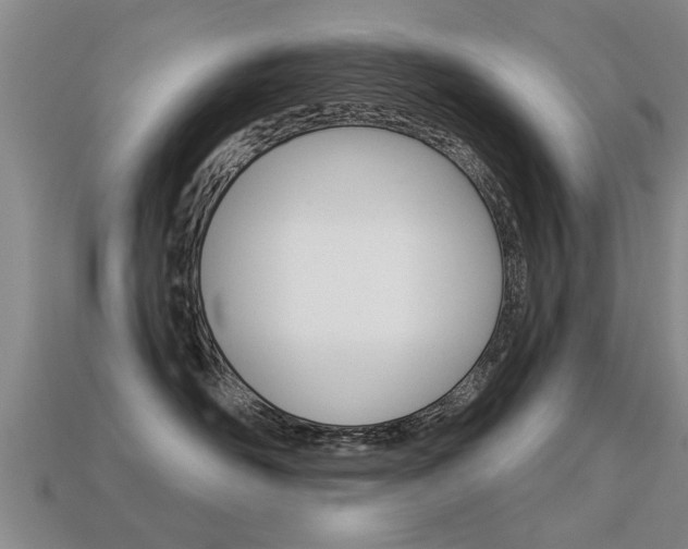 X0000113340526200909151008