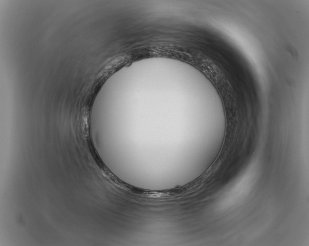 X0000113340527200909151008