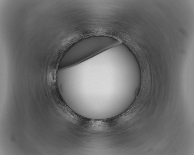 X0000113340528200909151008