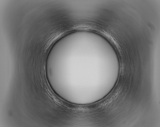 X0000113340529200909151007