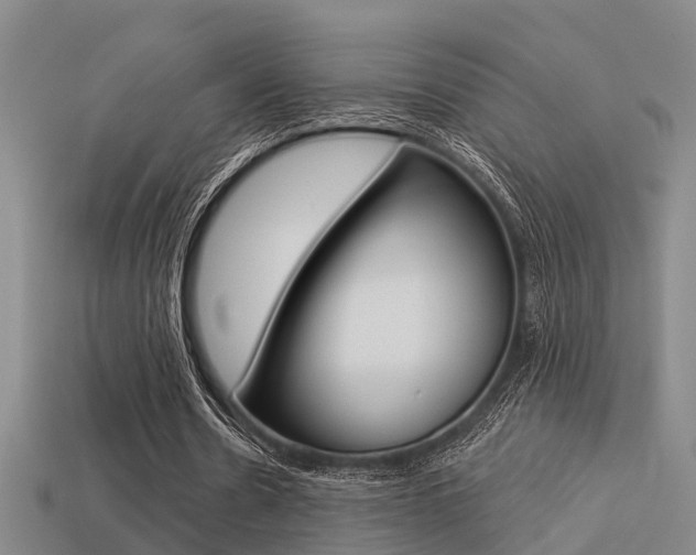 X0000113340530200909151007