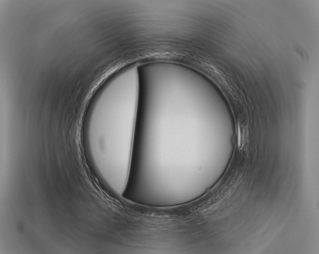 X0000113340531200909151007