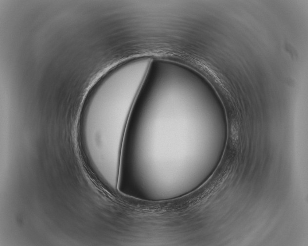 X0000113340532200909151008