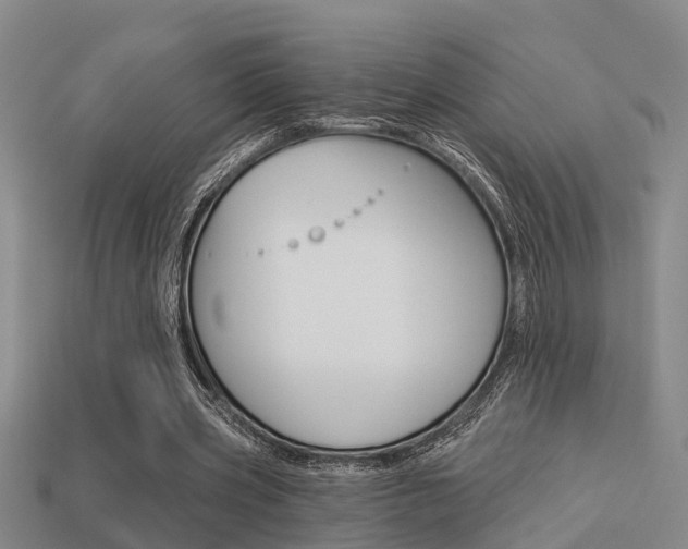X0000113340533200909151008