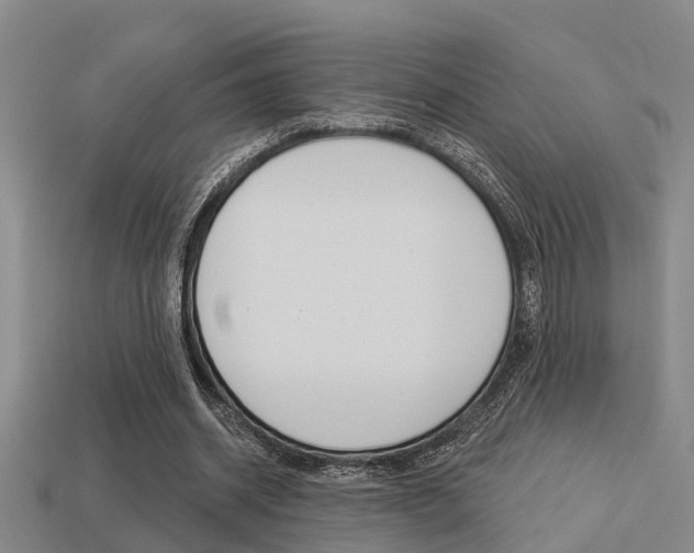 X0000113340534200909151008