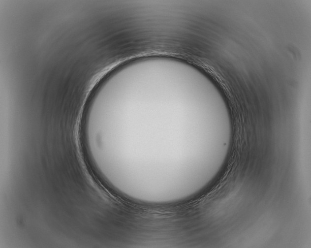 X0000113340536200909151008