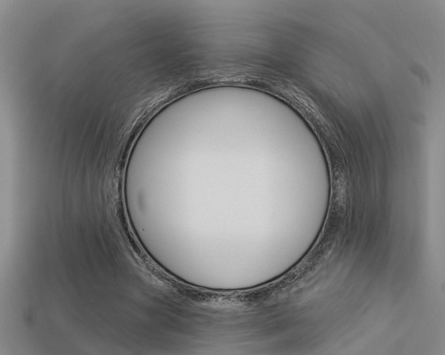 X0000113340537200909151008