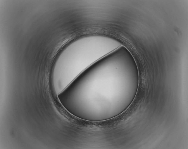 X0000113340538200909151008