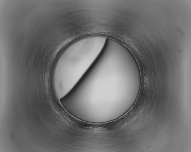 X0000113340539200909151008
