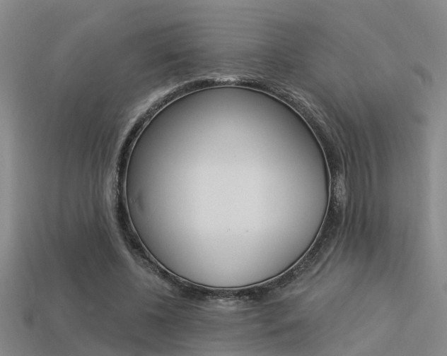 X0000113340540200909151008