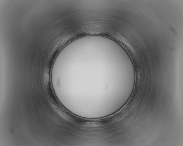 X0000113340541200909151008