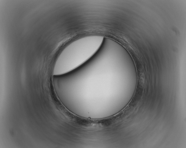X0000113340543200909151008