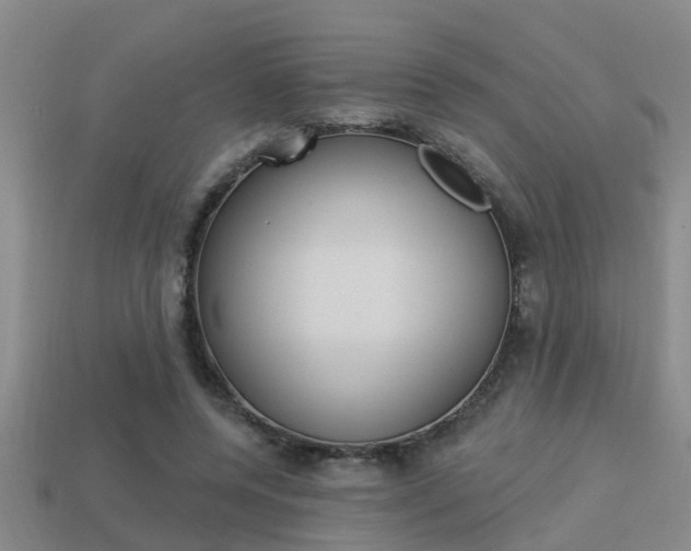 X0000113340544200909151008