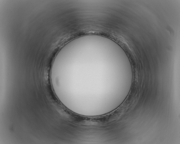 X0000113340545200909151008