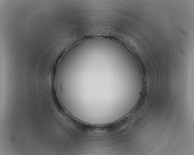 X0000113340546200909151008
