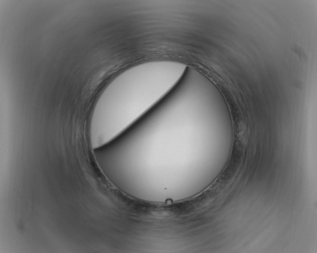 X0000113340547200909151008
