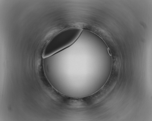 X0000113340548200909151008