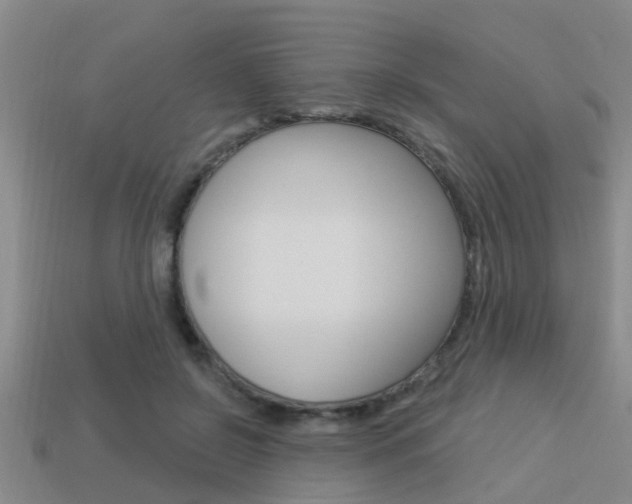 X0000113340550200909151008