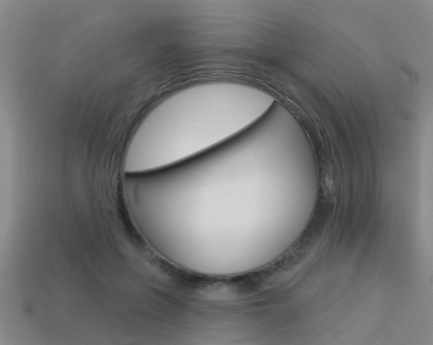 X0000113340551200909151008