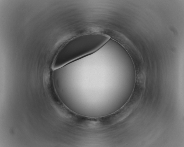 X0000113340552200909151008