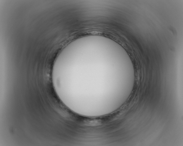 X0000113340553200909151008