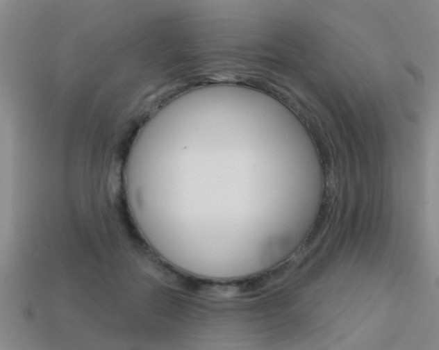 X0000113340554200909151008
