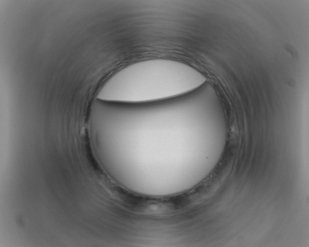 X0000113340555200909151008
