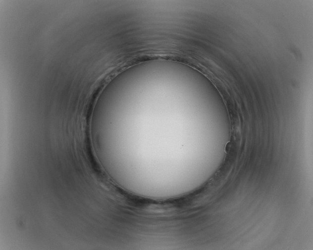 X0000113340556200909151008