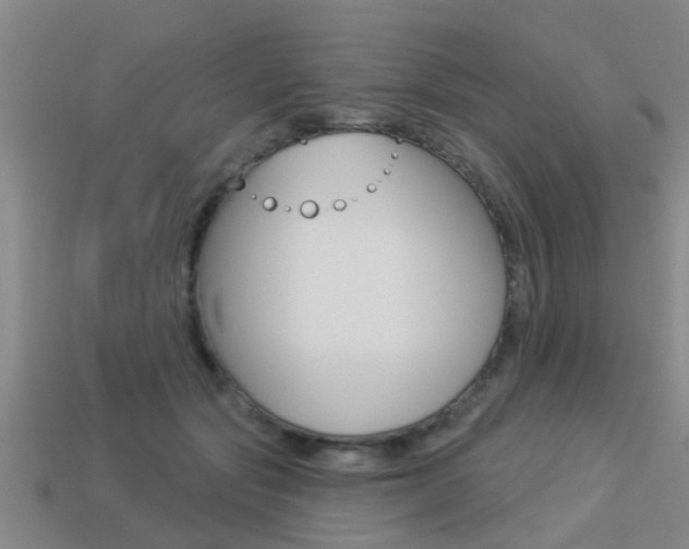 X0000113340557200909151008