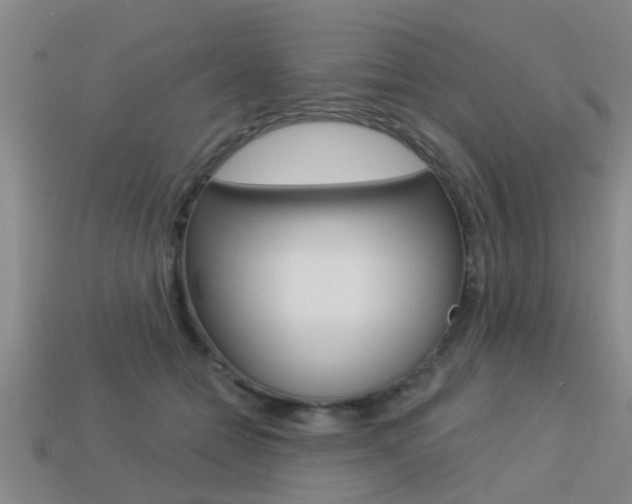 X0000113340558200909151008