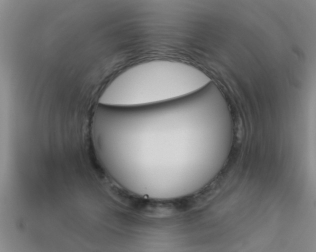 X0000113340559200909151008
