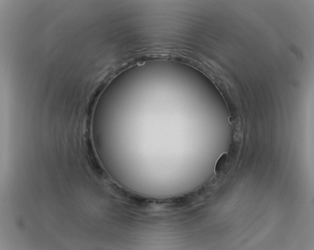 X0000113340560200909151008