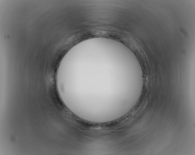 X0000113340561200909151008