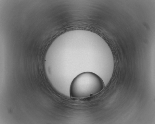 X0000113340562200909151008