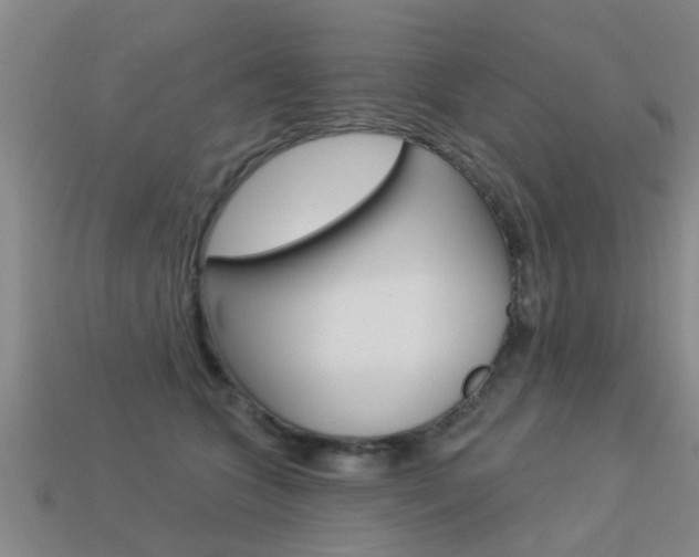 X0000113340563200909151008