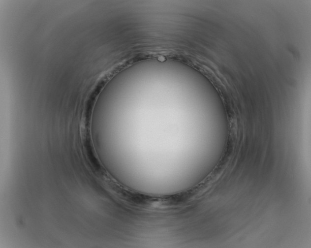 X0000113340564200909151008