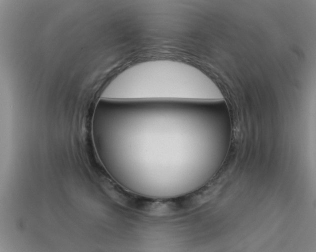 X0000113340566200909151008