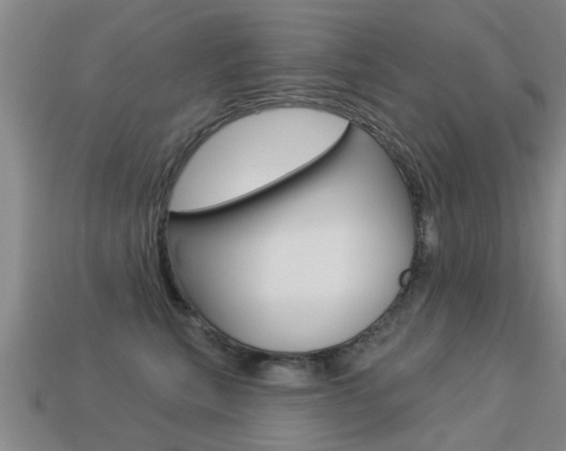 X0000113340567200909151008