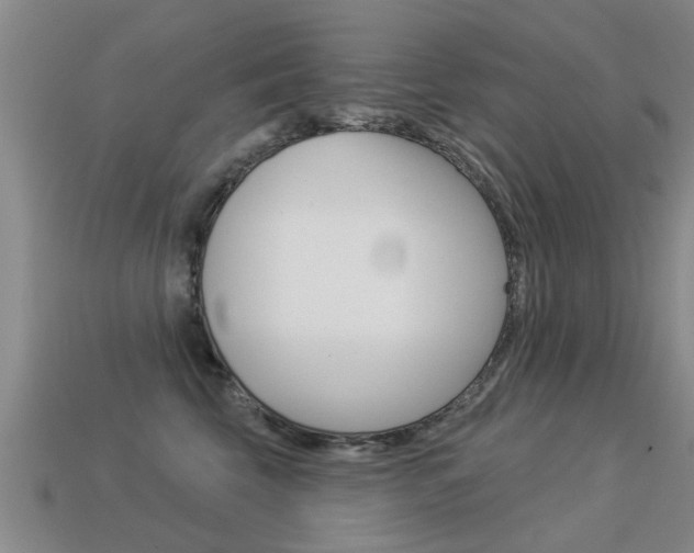 X0000113340569200909151008