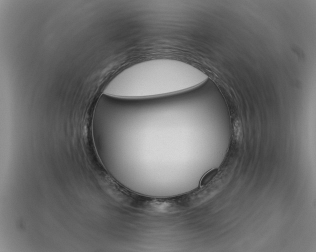 X0000113340570200909151008
