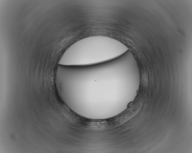 X0000113340571200909151008