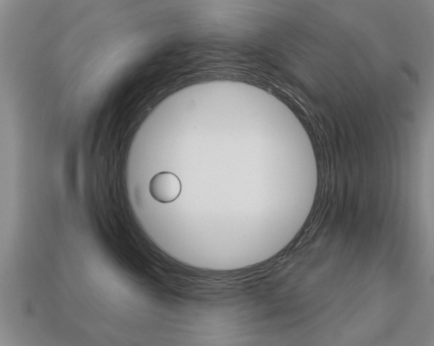 X0000113340572200909151008