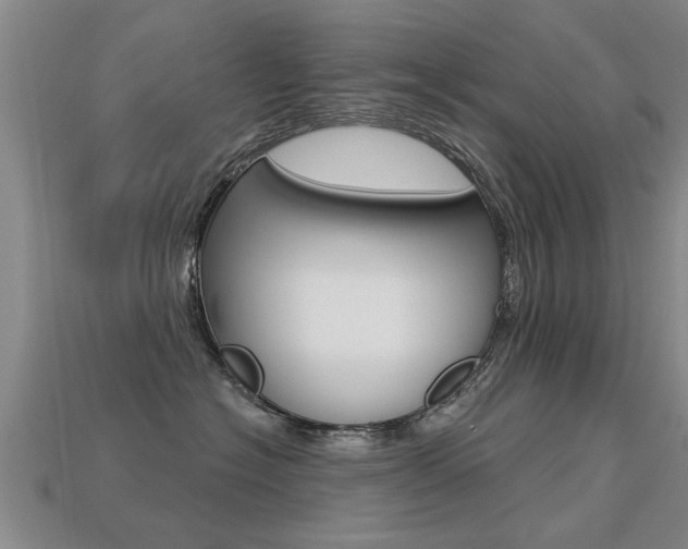 X0000113340574200909151008