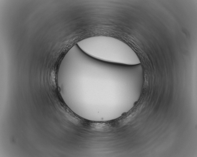 X0000113340575200909151008