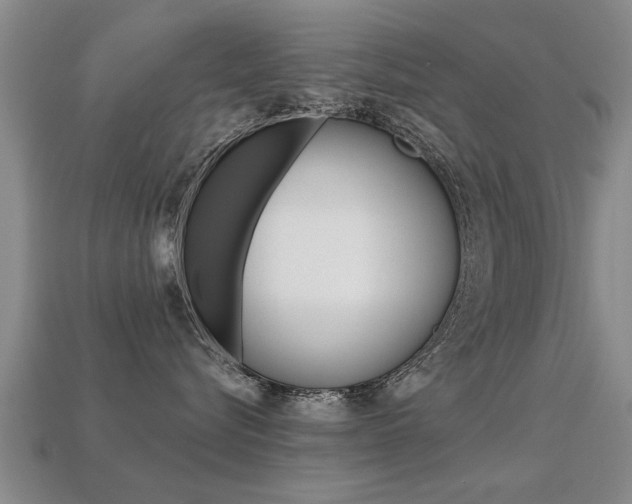 X0000113340576200909151008