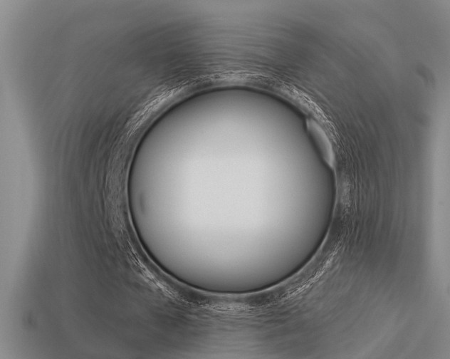 X0000113340577200909151007