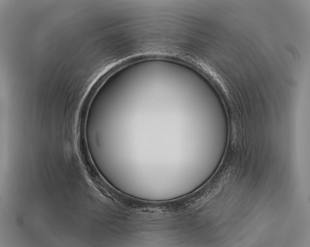 X0000113340580200909151007