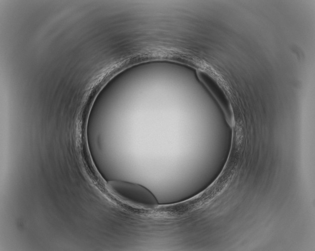 X0000113340581200909151007