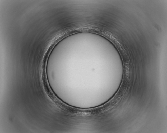 X0000113340582200909151007